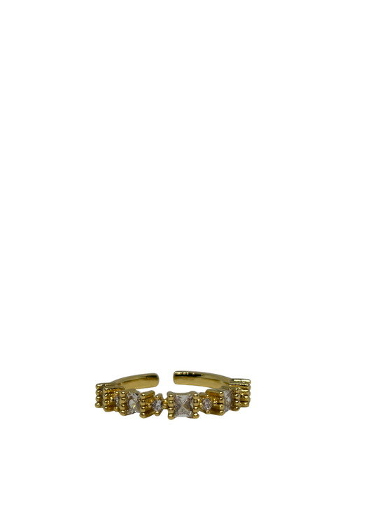 Denisse Ring