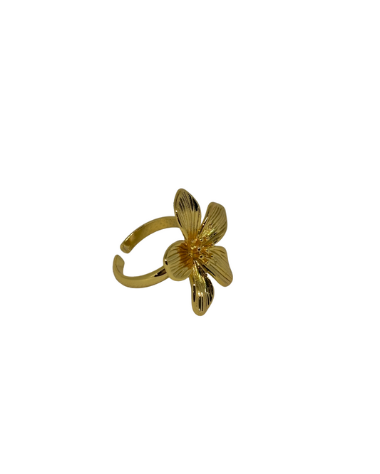 Iris Ring